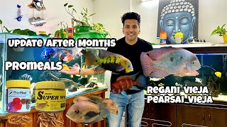 Healthy Turtles & Aquarium Fish | Promeals Dried Worms | Fish Food from Promeals