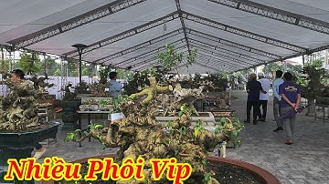 Nhiều Phôi Tiền Tỷ tại Triển lãm Đông anh