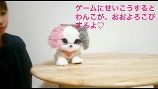 【プレゼントペット】　まねっこゲームの遊び方