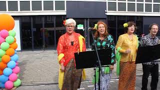 Djintan: Sayang Kane