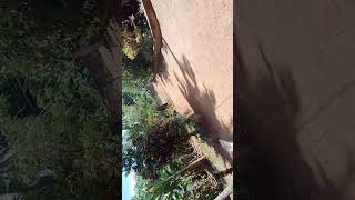 360 degree tutorial result