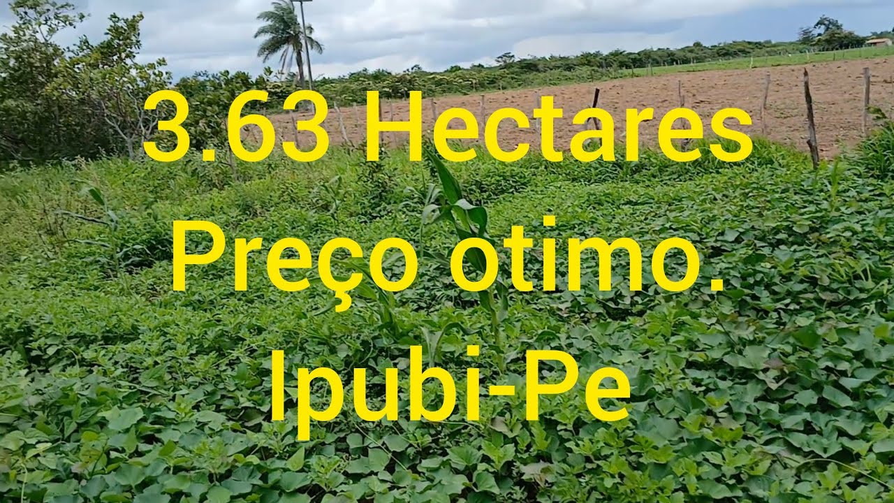 Chega qui essa pode ser sua. Casa,reservatorio e muitas frutíferas. 45 mil. 87981363923.
