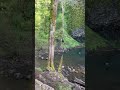 #oregon #waterfall #pnw