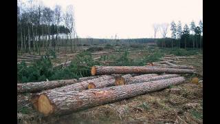 Mother Earth.mp4