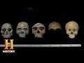 Ancient Aliens: EVIDENCE OF ALIEN INFLUENCE ON HUMAN EVOLUTION (Season 14) | History