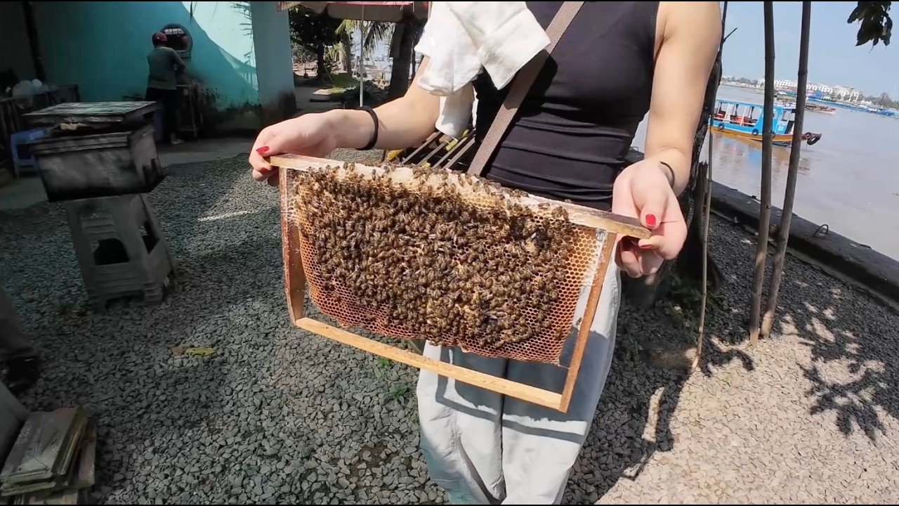 Balade dans le delta du Mékong - 1ère partie
