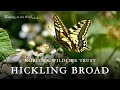 Norfolk Walks: Hickling Broad Nature Reserve