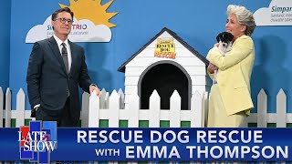 Famous Rescue Dog Rescue with Emma Thompson Net Worth
