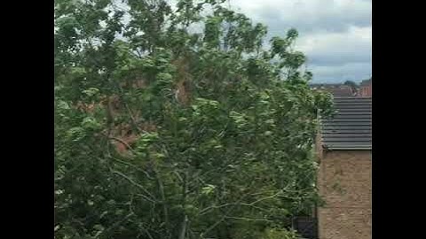 Leaving Northallerton on transpennine express to Yarm