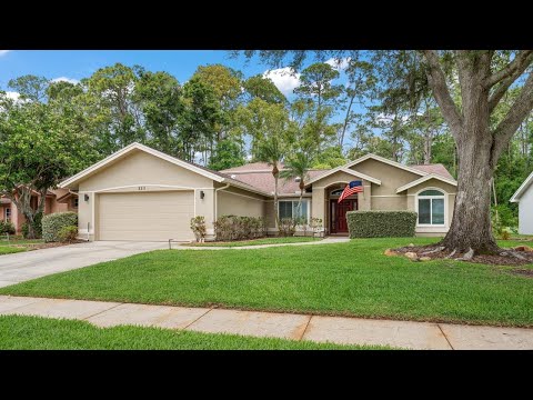 3311 Tanglewood Trail, Palm Harbor, FL home video tour