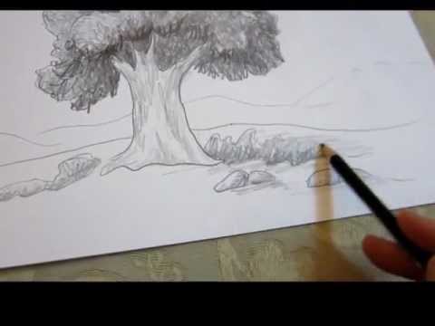 Realistic pencil drawing of the Fairytale Tree on Behance