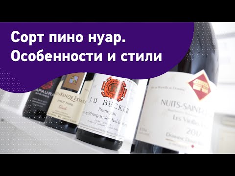 Сорт пино нуар. Особенности и стили. Лучшие регионы для пино нуара