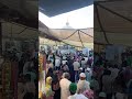 Live highlight