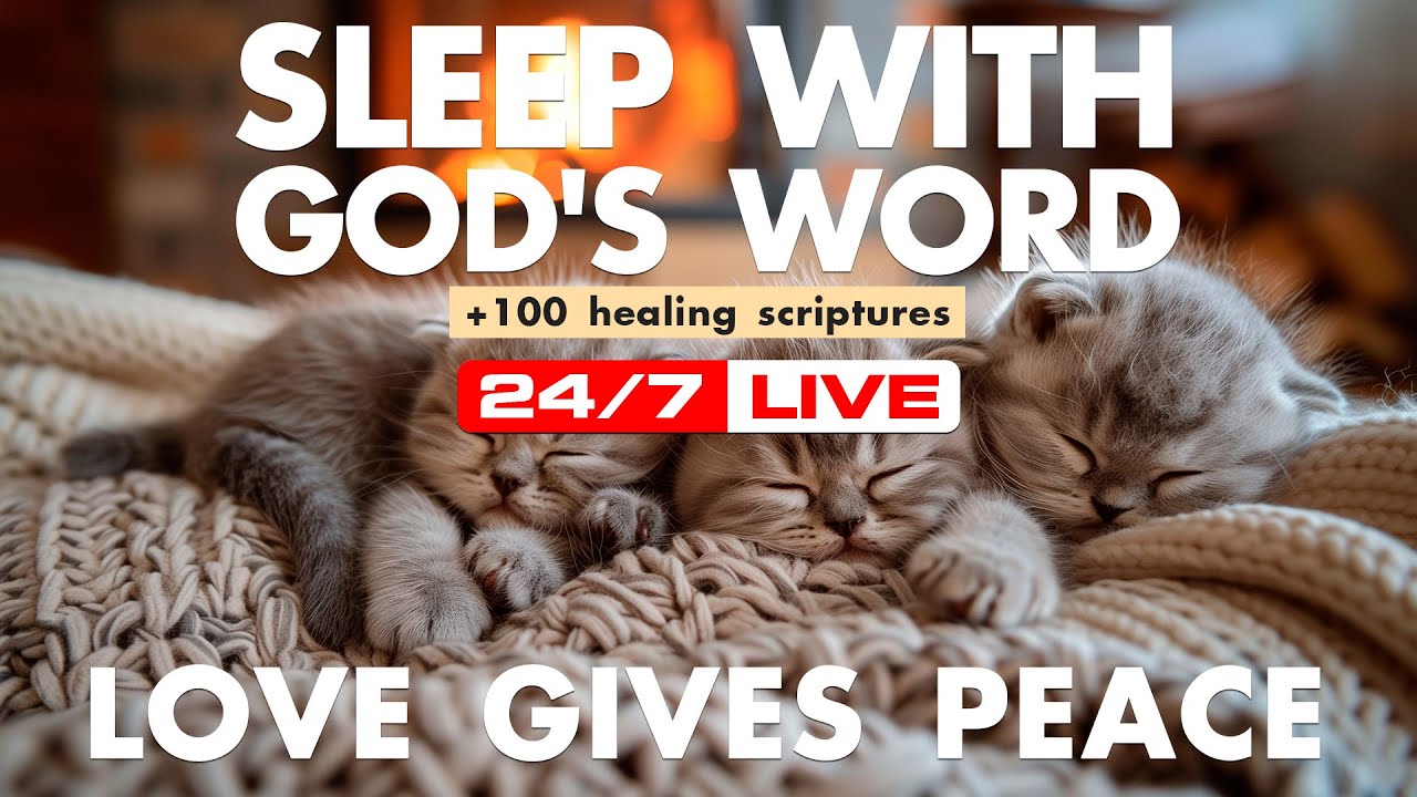 Promises of God. Psalms for protection. Peaceful scriptures deep rest with God tonight gentle sleep.