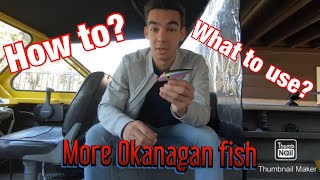 How to catch trout in the Okanagan | Tips and Tricks