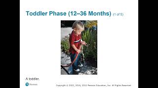 Ch  8 PowerPoint Video