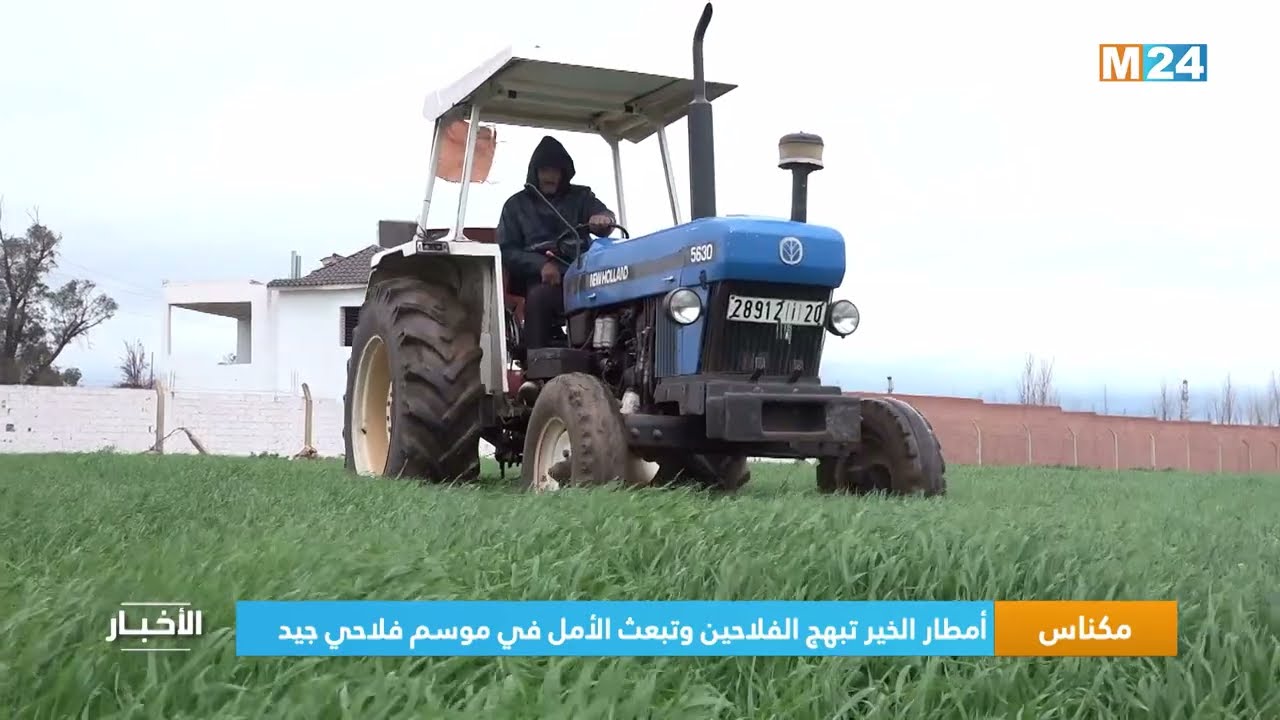 مكناس .. أمطار الخير تُبهج الفلاحين وتَبعث الأمل في موسم فلاحي جيد