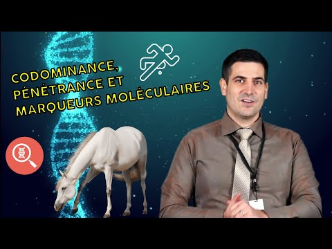 Vidéo: Comment calcule-t-on la pénétrance en génétique ?