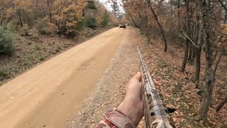 Yeni Sezon Koşturmalı Yaban Domuz Avı Şfet