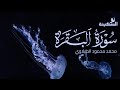 سورة البقرة │ تلاوة من عالم آخر تهز الوجدان #قرآن_كريم سورة البقرة │ تلاوة من عالم آخر تهز الوجدان #قرآن_كريم