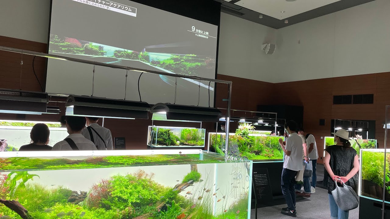 NATURE AQUARIUM EXHIBITION 2022 OSAKA YouTube