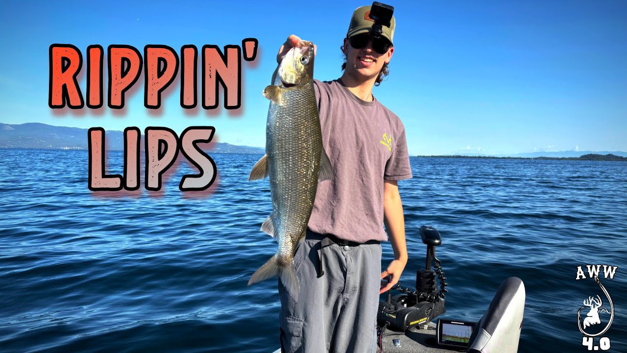 Rippin' Lips | AWW | S4 EP4 [Fishing] - YouTube