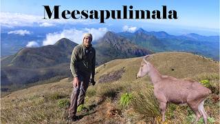 A Trek to Meesapulimala | Climbing the Second Highest Peak in the Western Ghats