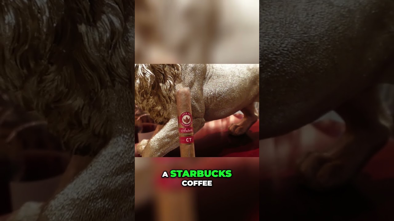 Hoyo de Nicaragua: A Budget-Friendly Connecticut Cigar! 