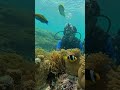 Scuba diving at lakshadweep #lakshadweep 🤿
