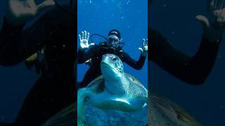 Scuba Diving At Lakshadweep