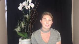 Breast Augmentation with Dr. Max Polo