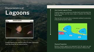 Lagoonal and Tidal Flat Environment Part 1