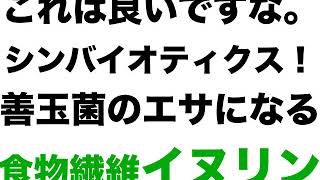 【最高】イヌリンとビオスリーを一緒に摂取してシンバイオティクス！