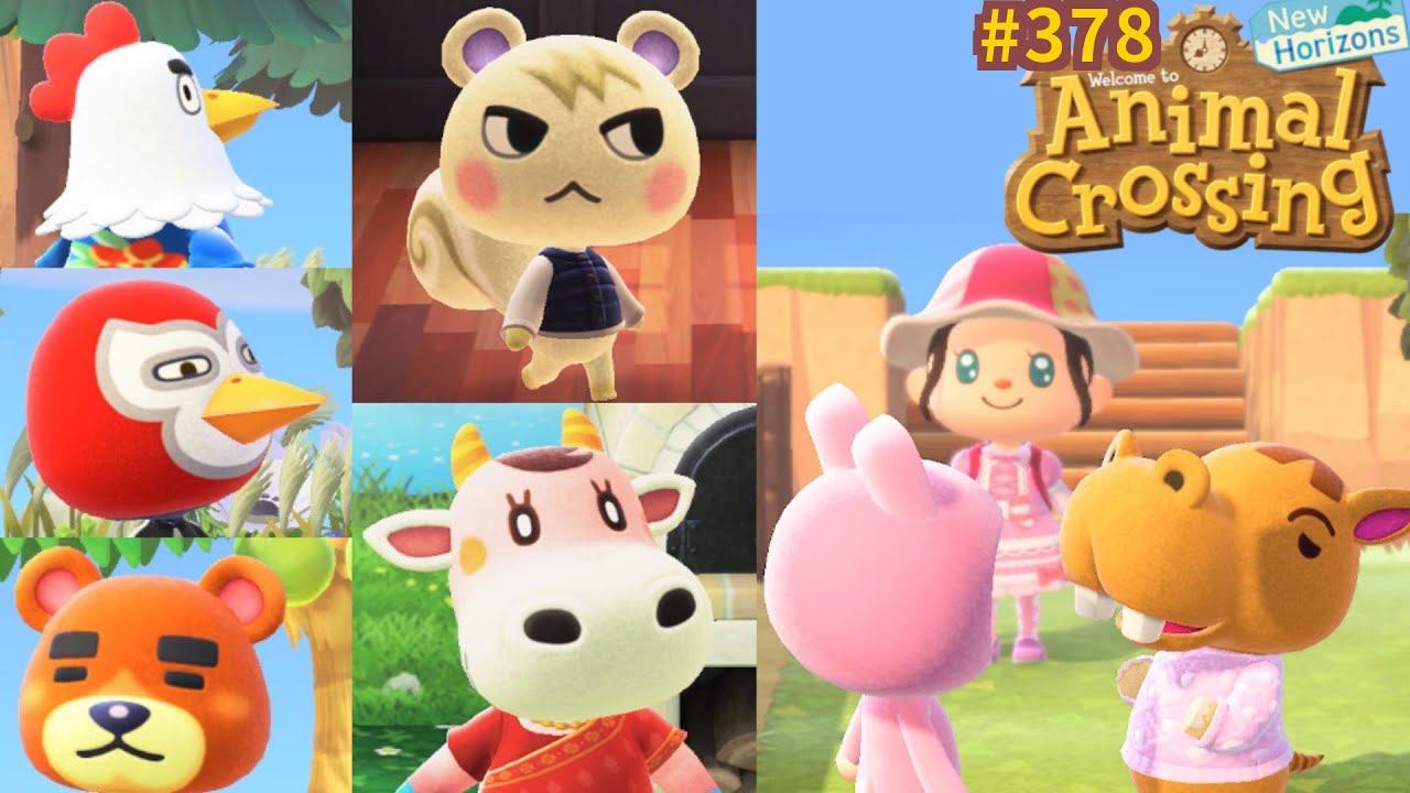 Chasse à l'habitant : Mathéo ? Visite d'île & photo ! 🌴 Animal Crossing ...