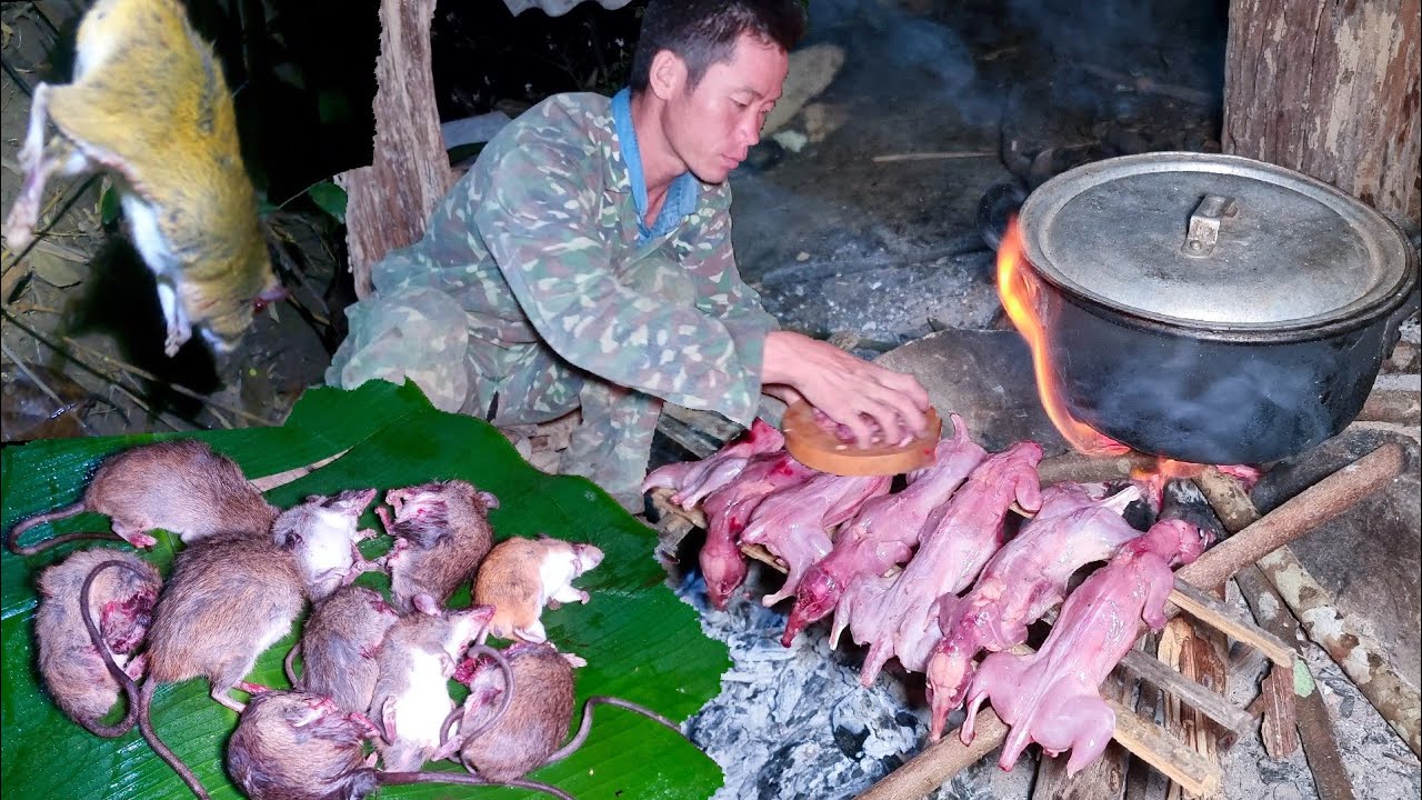 Rats Hunting With Slingshot YouTube