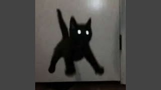 Full JUMP Update