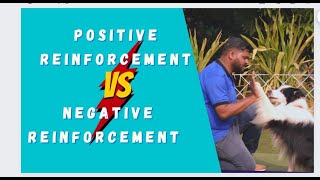 Positive vs. Negative Reinforcement in Dog Training | Philip Butt | Commando Kennels