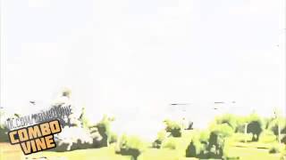 NEW Combo Vine 234