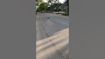 #arrma #limitless 8s #rccar #shorts #viral #trending #like #subcribe #share #1100kv #thanks VIDEO UP