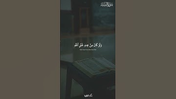 أفلا يتدبرون القرآن | سورة النساء | المنشاوي #quran