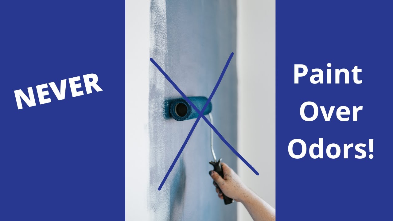 Don't Paint That Smell! YouTube