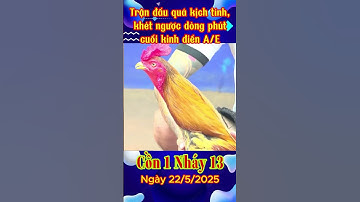 QUÁ KỊCH TÍNH A/E, PHA NGƯỢC DÒNG KHÔNG TƯỞNG A/E ƠI #trending #games #farming #gachoivietnam