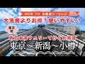 【大洗と新潟どっちが正解？】東京発！新潟～小樽「新日本海フェリー」で北海道へ