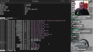 Demuxing OBS Studio multi-track audio recordings with FFmpeg on Linux 🐧