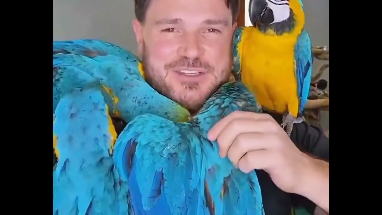 The man accidentally saved the little birds and suddenly became rich.