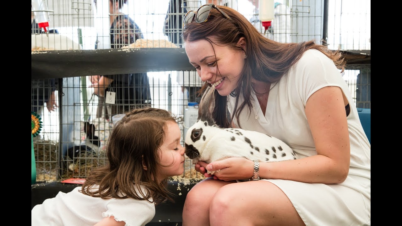 Royal Three Counties Show - Highlights 2017
