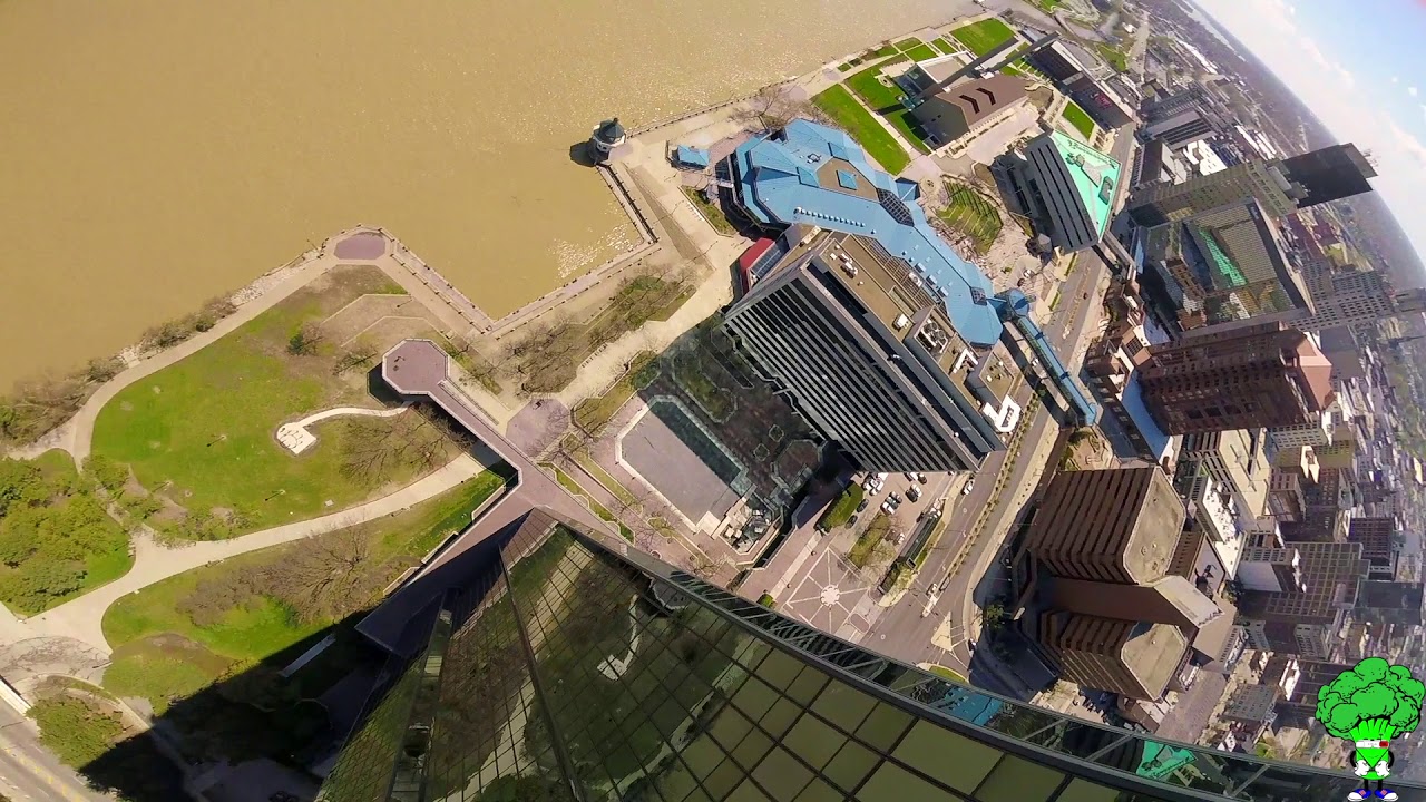 Sunday KwadDay Getting stuck in a tree 