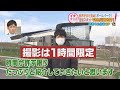 ボールパーク全部見たい！でもロケは1時間…回りきれる？【開業４か月前SP】