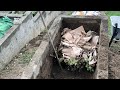 Day660tanim ng pipino and pagpalit ng soil mix sa garden bed gulayansabakuran challenge