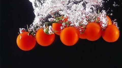 Whole Tomatoes Falling Through Water. | Stock Footage - Videohive